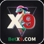 betx9 Casino Elite v4.5.6 - 1